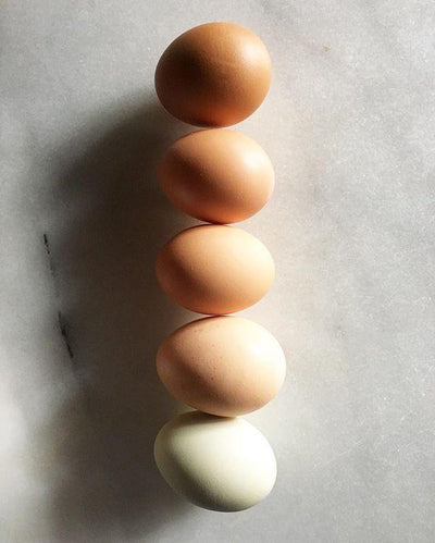 Make It Easy To Eat Healthy: Produce + Eggs! - JEM Organics